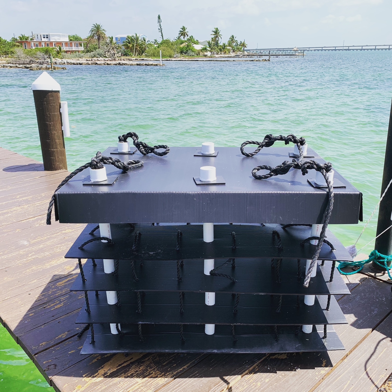 Eco Dock Habitat under-dock structure on a dock over coastal water